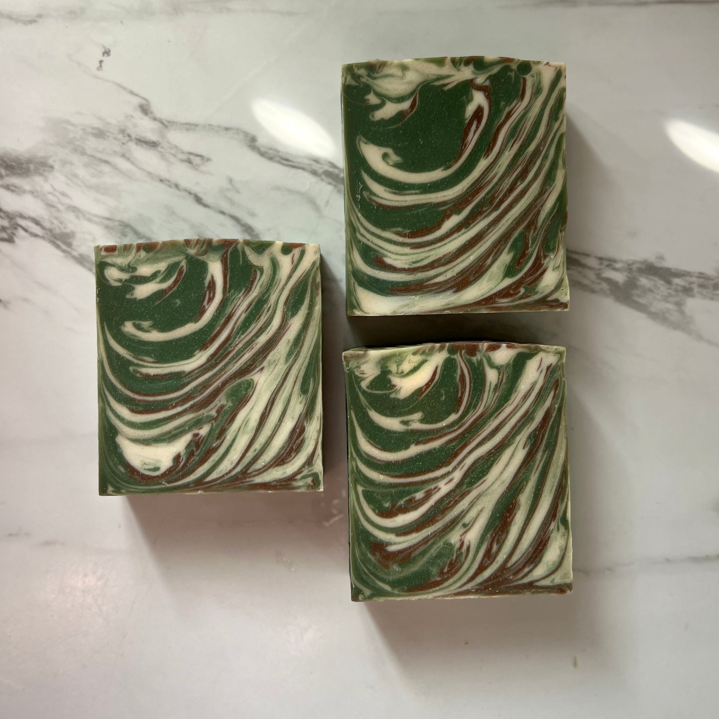 A WALK IN THE WOODS- BALSAM FIR PINE